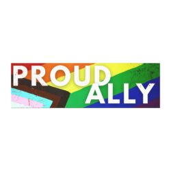 Proud Ally - LGBTQ+ Ally Car Magnet