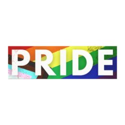 LGBTQ+ PRIDE Car Magnet