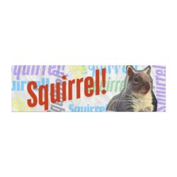 Squirrel! - Car Magnet